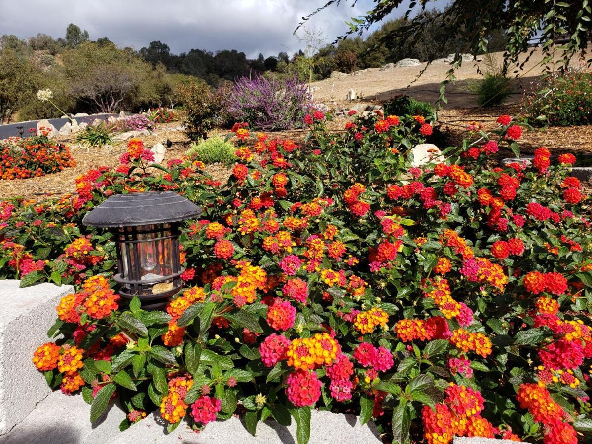 Yosemite Foothill Retreat Hotel โคสต์โกลด์ ภายนอก รูปภาพ