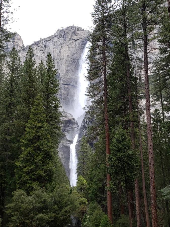 Yosemite Foothill Retreat Hotel โคสต์โกลด์ ภายนอก รูปภาพ
