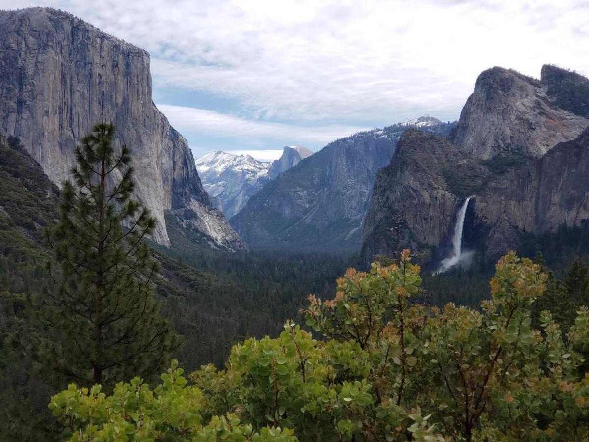Yosemite Foothill Retreat Hotel โคสต์โกลด์ ภายนอก รูปภาพ